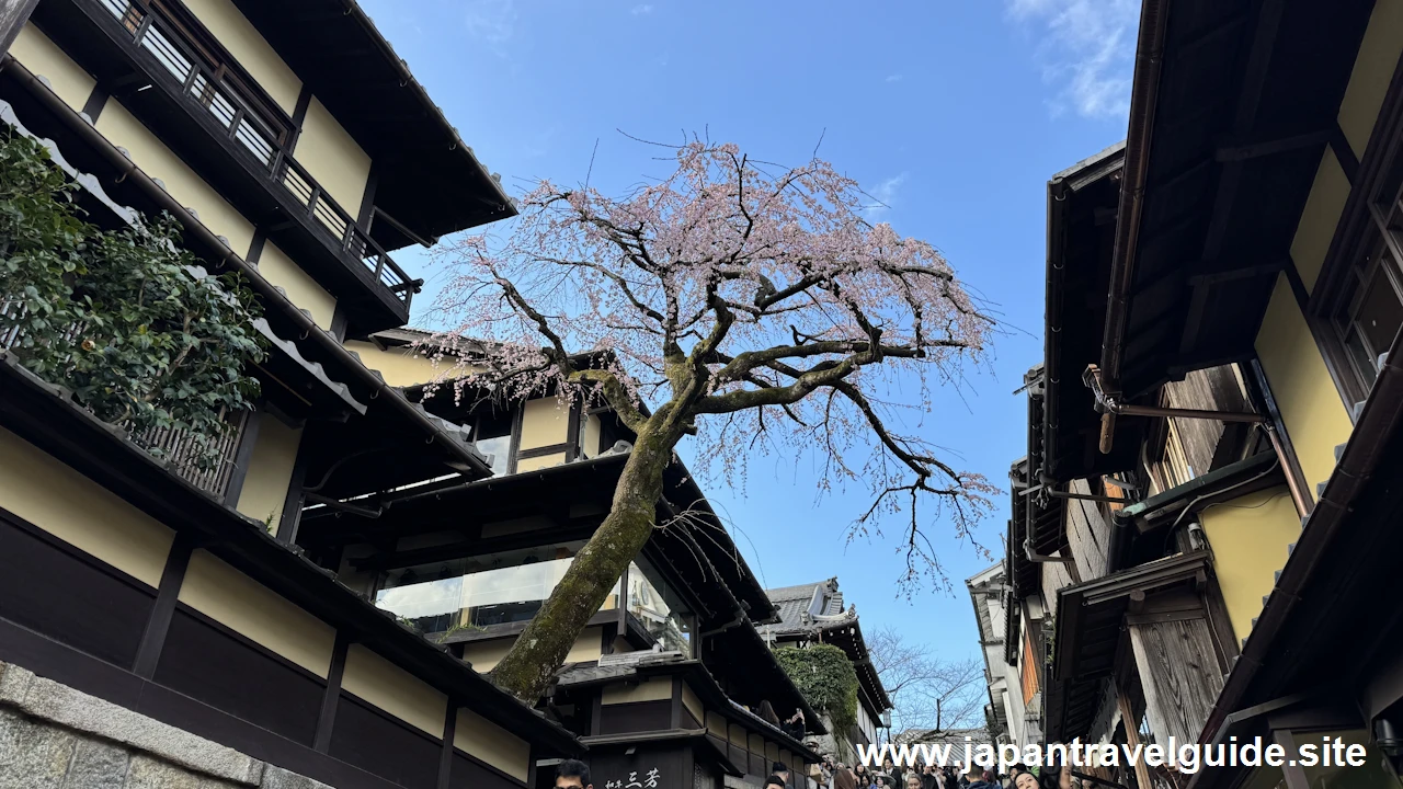 二年坂(二寧坂)、三年坂(産寧坂)を通って清水寺へ：清水寺の見どころ(17)