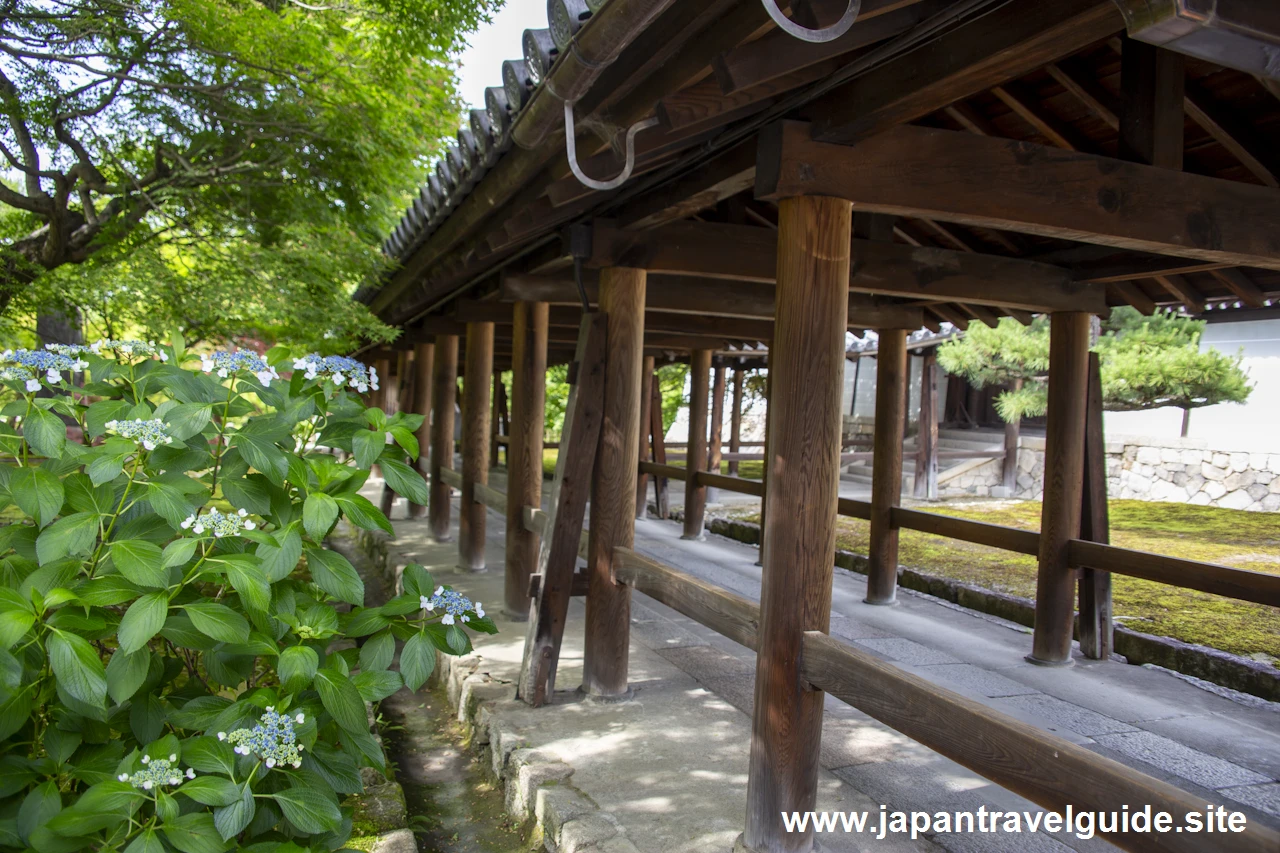 通天橋：東福寺の見どころ(2)