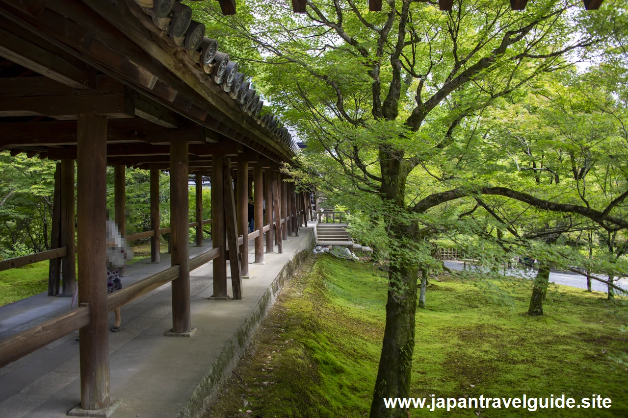 通天橋：東福寺の見どころ(7)