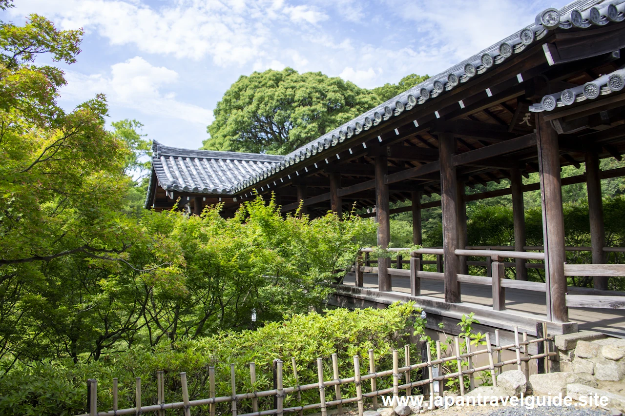 通天橋：東福寺の見どころ(9)