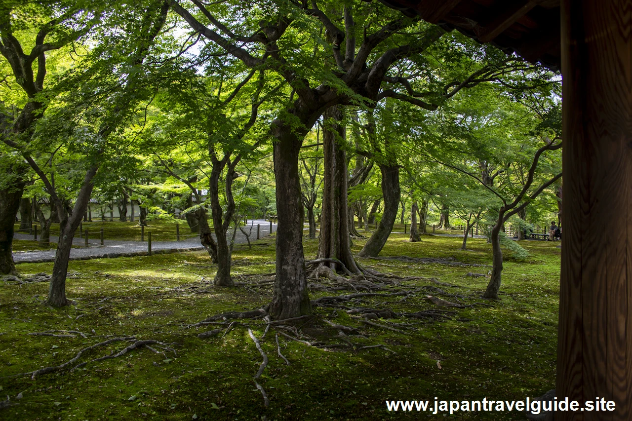 通天橋：東福寺の見どころ(11)