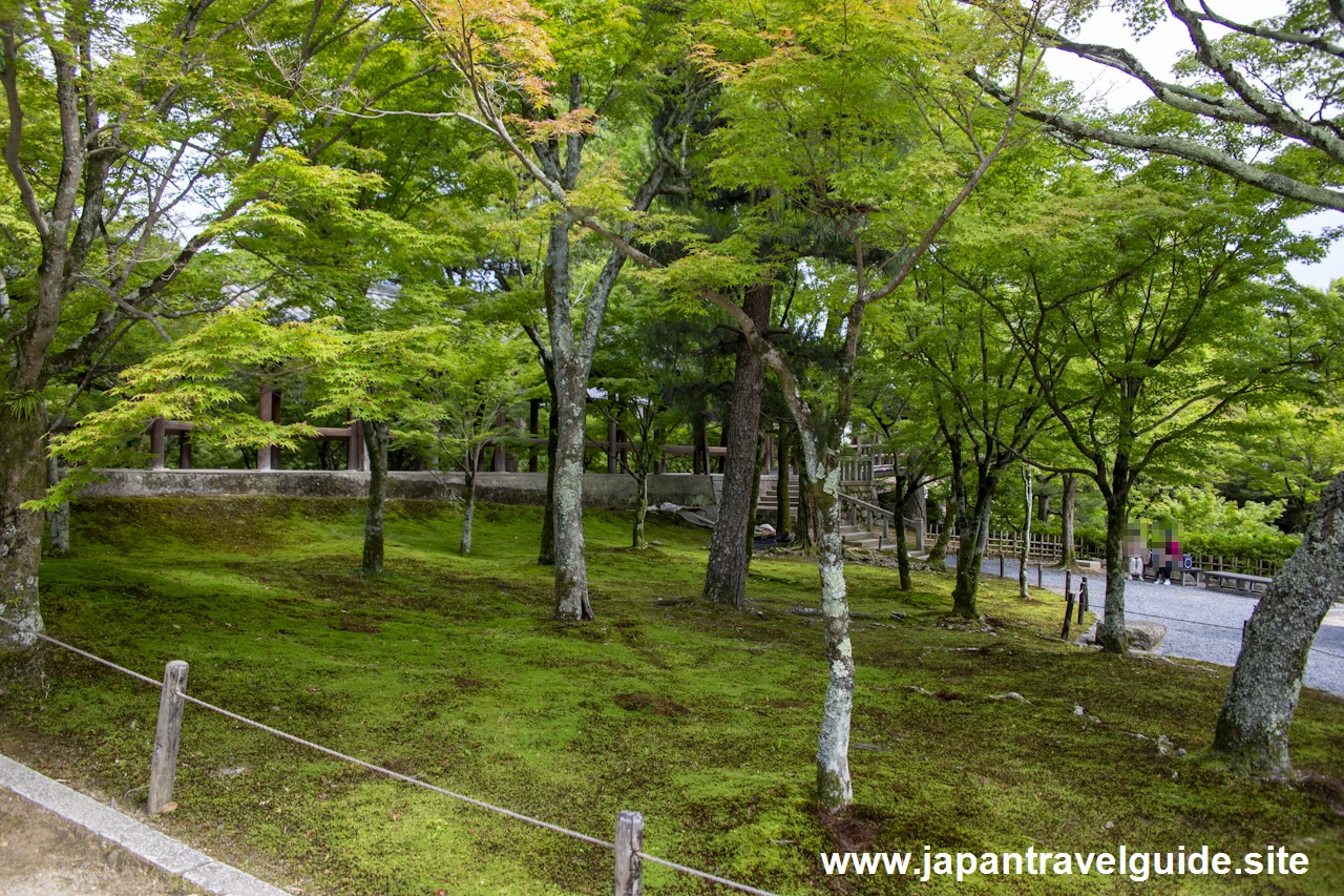 通天橋：東福寺の見どころ(12)