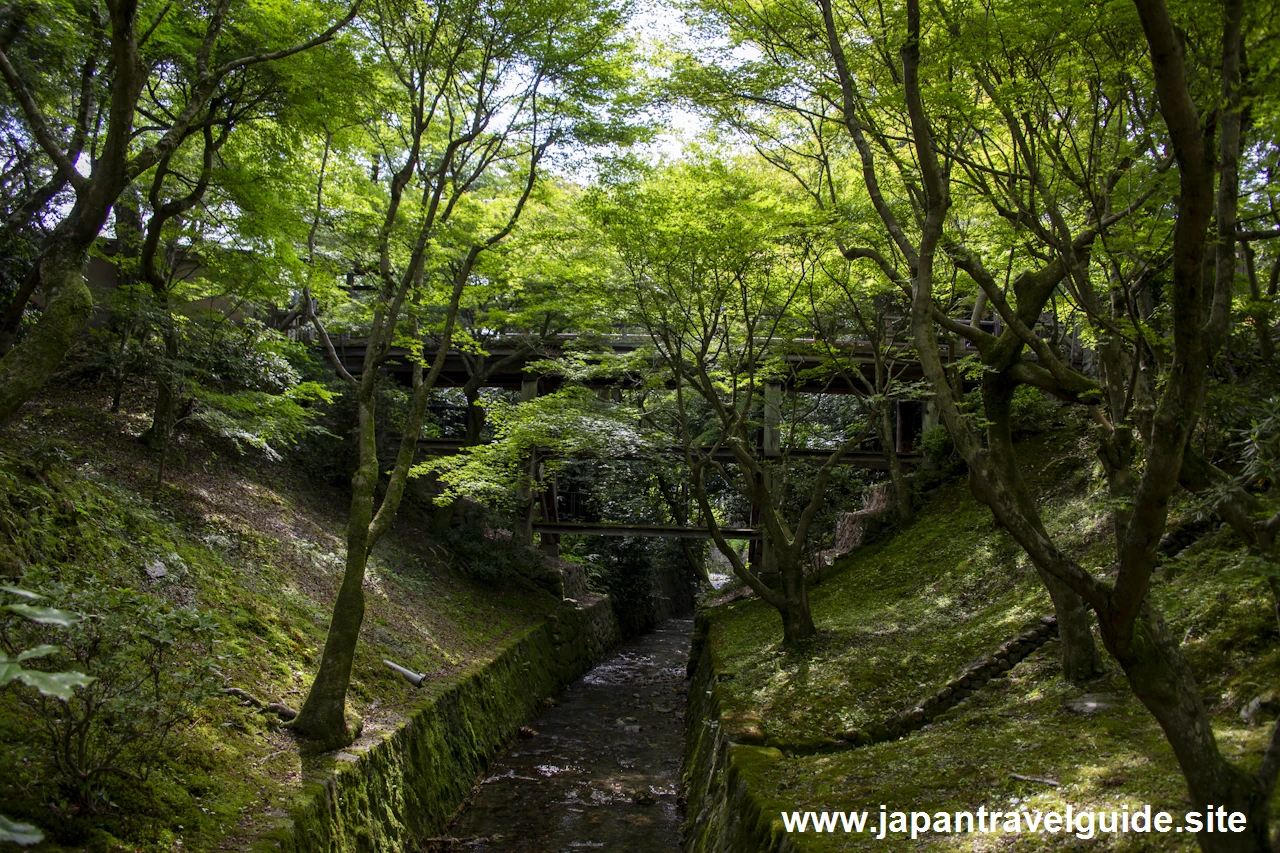 通天橋：東福寺の見どころ(14)