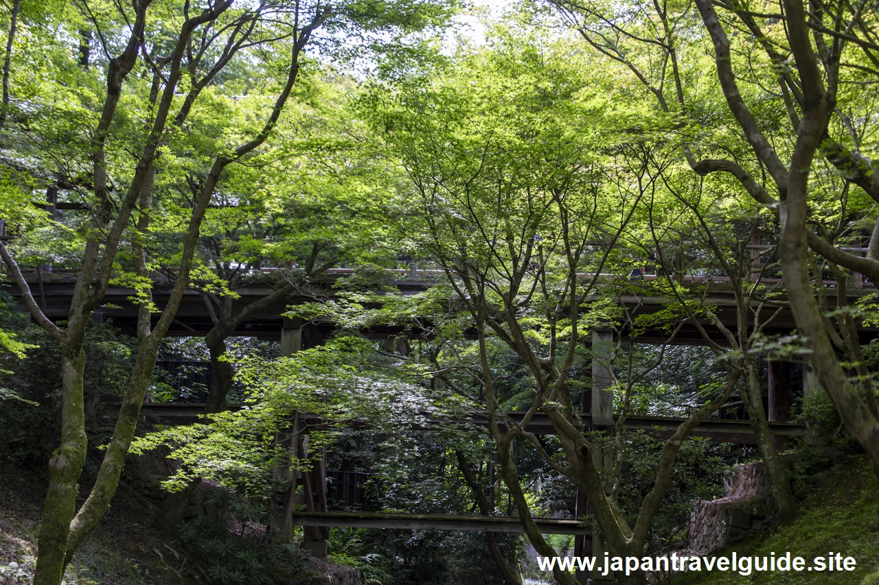 通天橋：東福寺の見どころ(15)