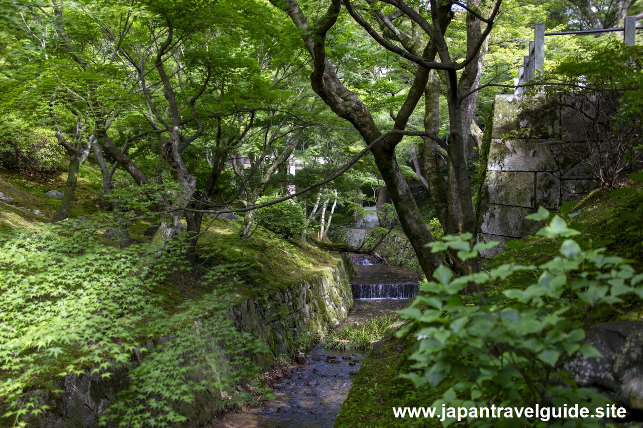 通天橋：東福寺の見どころ(16)