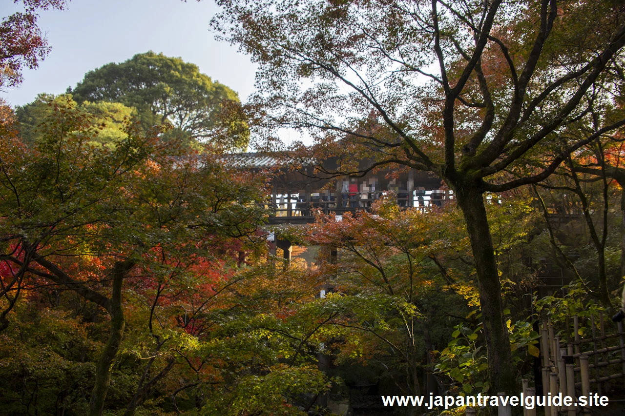 東福寺の紅葉：東福寺の見どころ(5)