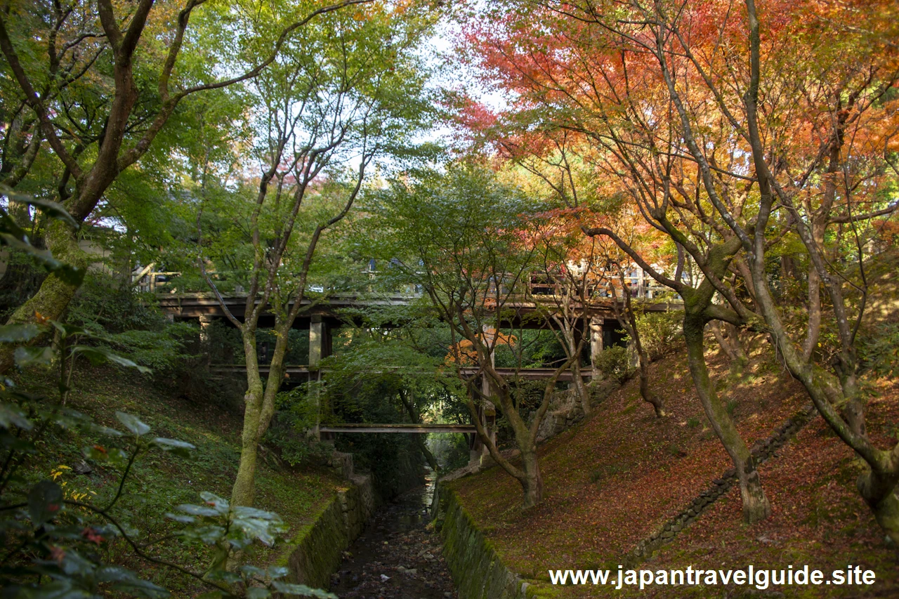 東福寺の紅葉：東福寺の見どころ(7)