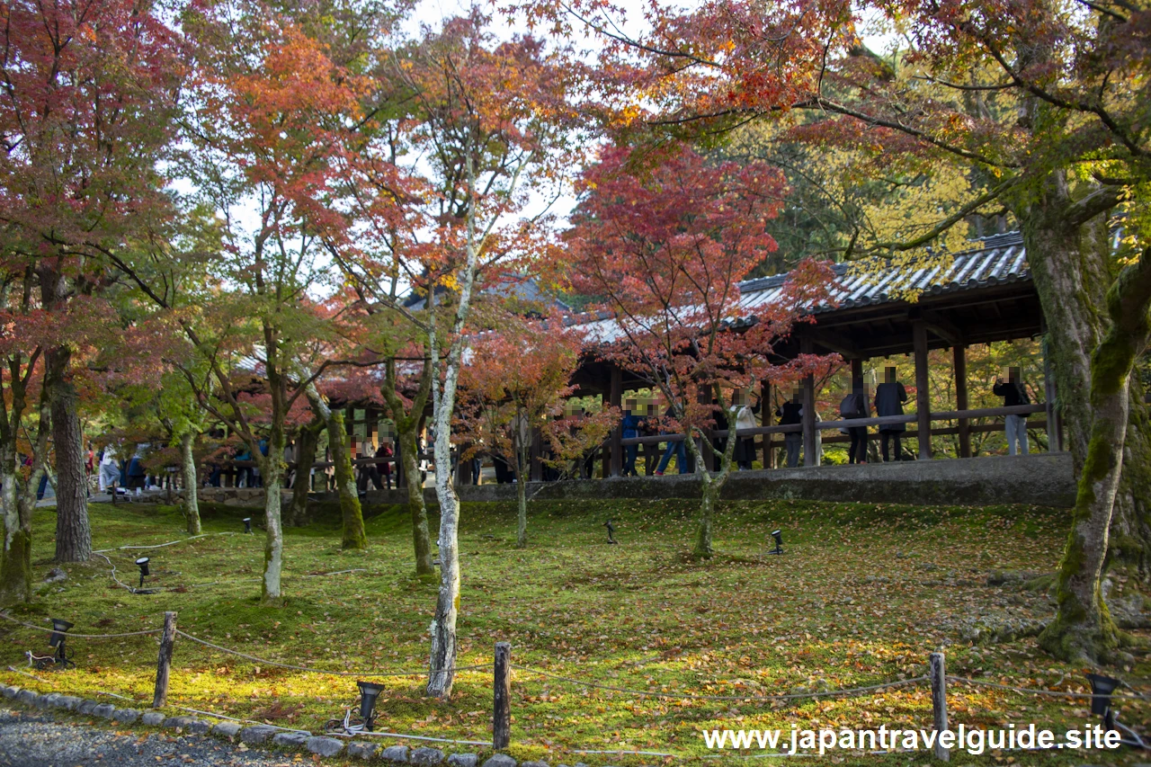 東福寺の紅葉：東福寺の見どころ(9)