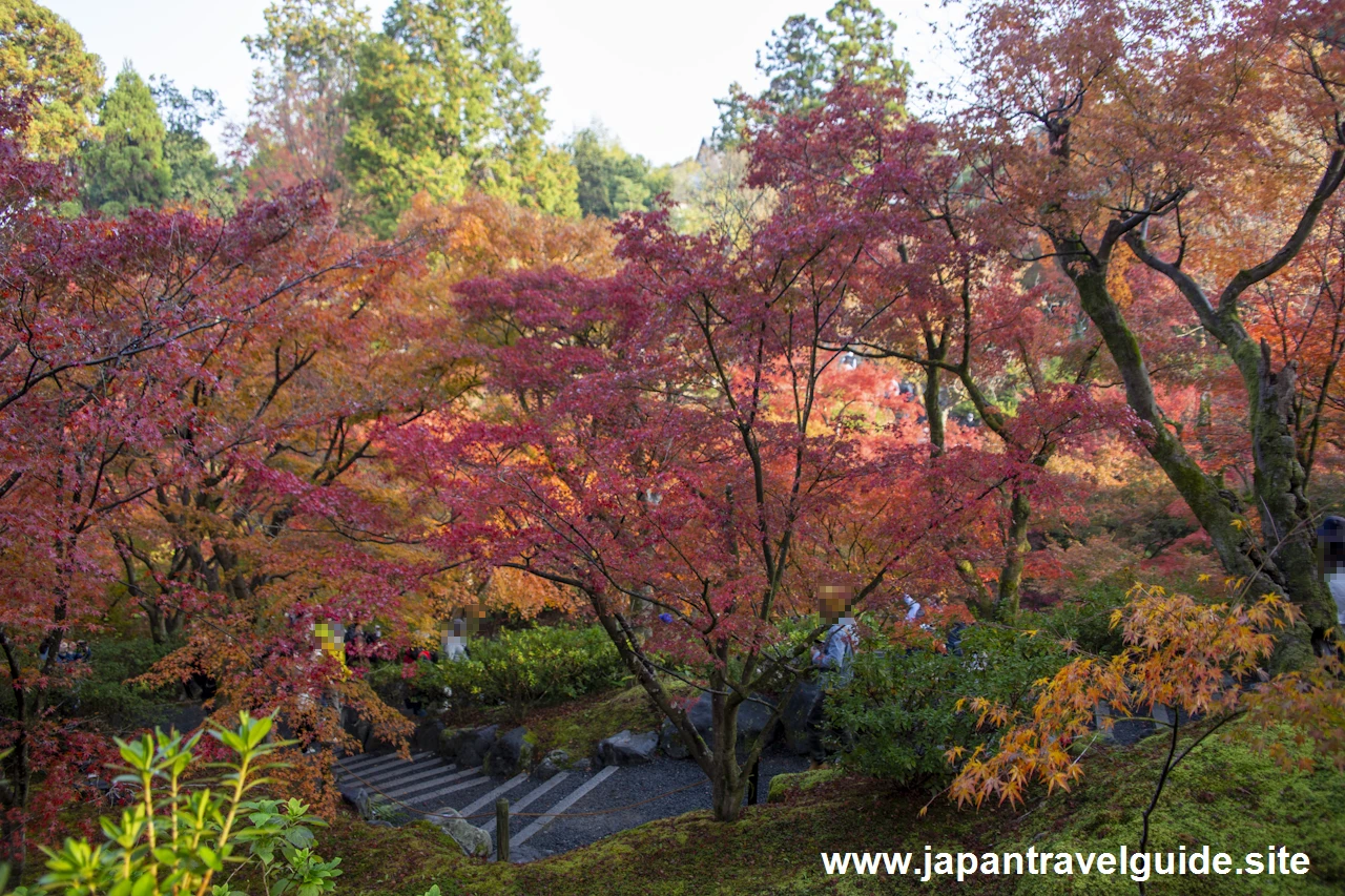 通天橋および洗玉潤の紅葉：東福寺の紅葉の見どころ(10)