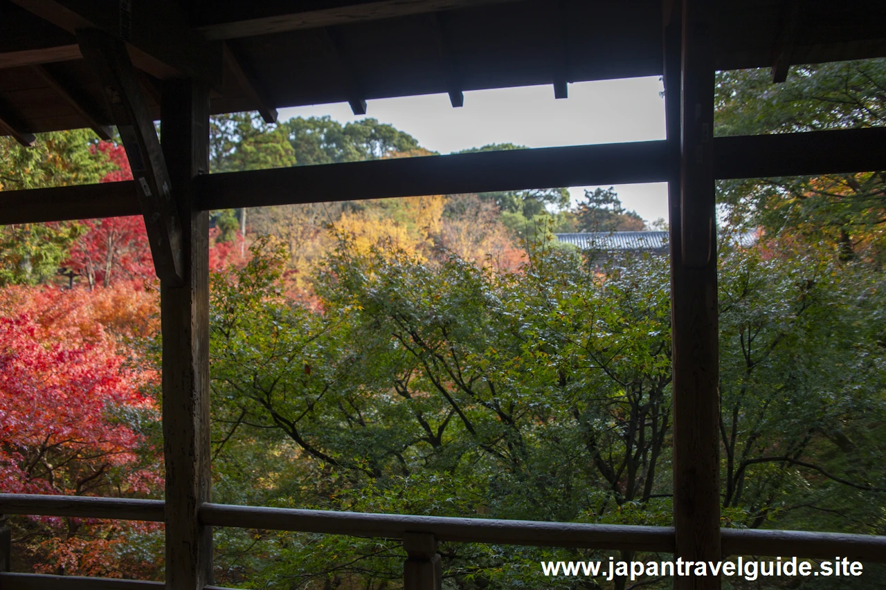 臥雲橋から日下門までの紅葉：東福寺の紅葉の見どころ(2)