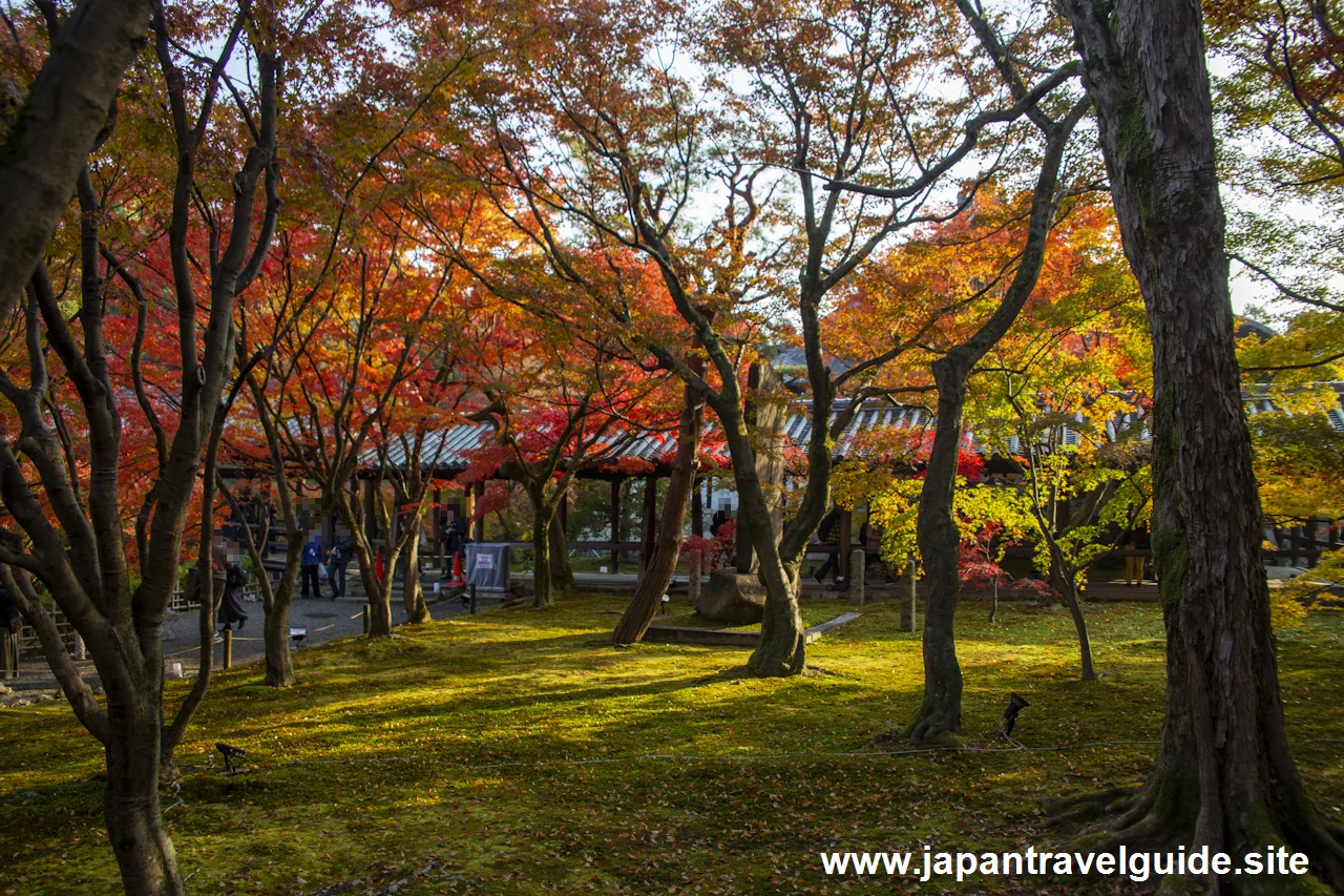 通天橋および洗玉潤の紅葉：東福寺の紅葉の見どころ(12)