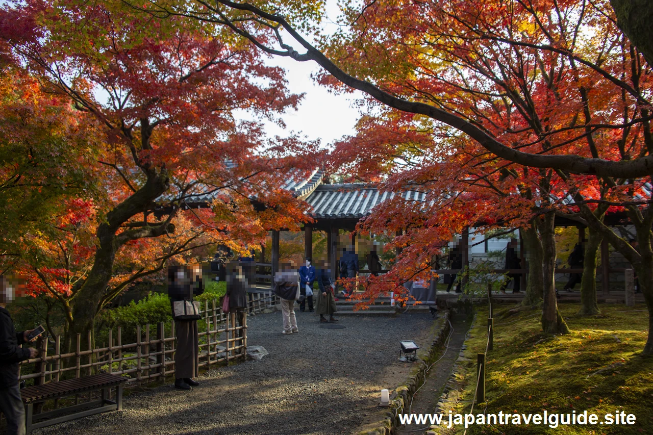 通天橋および洗玉潤の紅葉：東福寺の紅葉の見どころ(14)