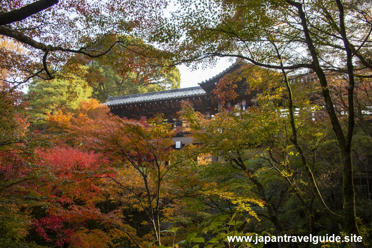 通天橋および洗玉潤の紅葉：東福寺の紅葉の見どころ(16)