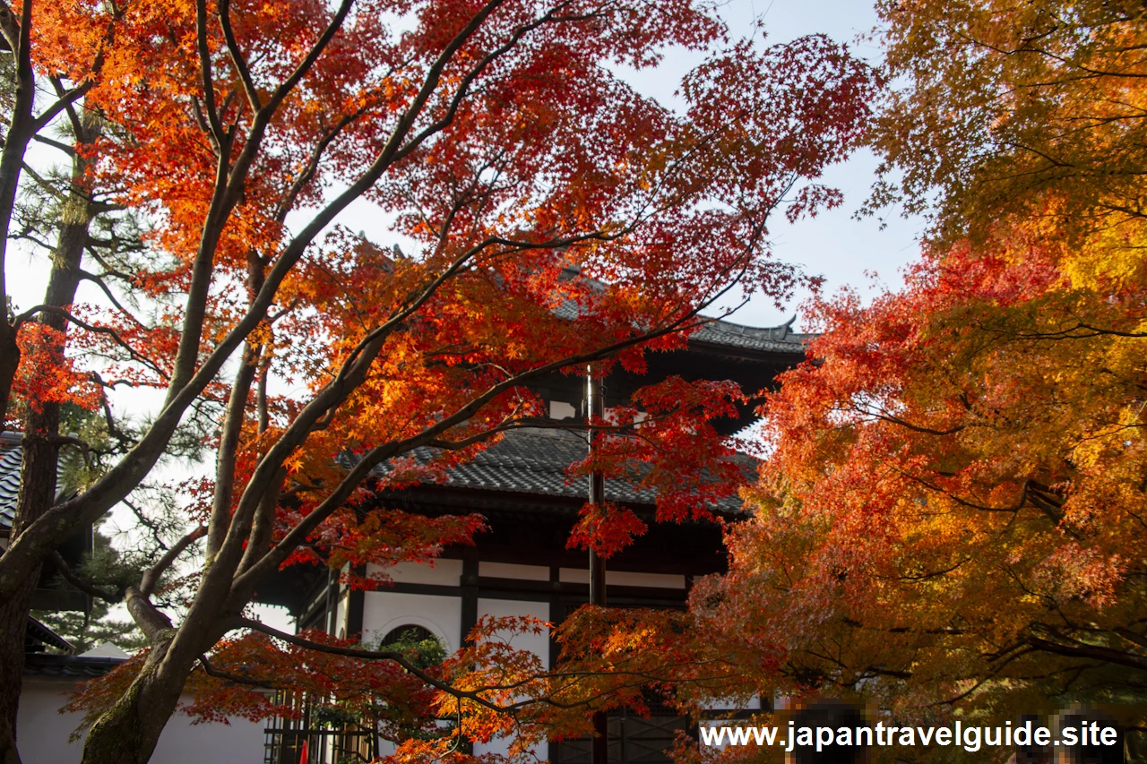 通天橋および洗玉潤の紅葉：東福寺の紅葉の見どころ(19)