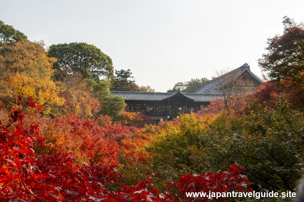 臥雲橋から日下門までの紅葉：東福寺の紅葉の見どころ(3)