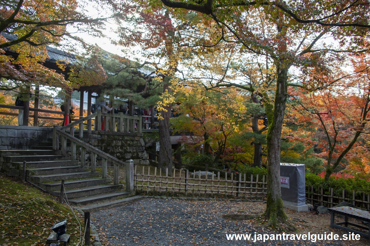 通天橋および洗玉潤の紅葉：東福寺の紅葉の見どころ(29)