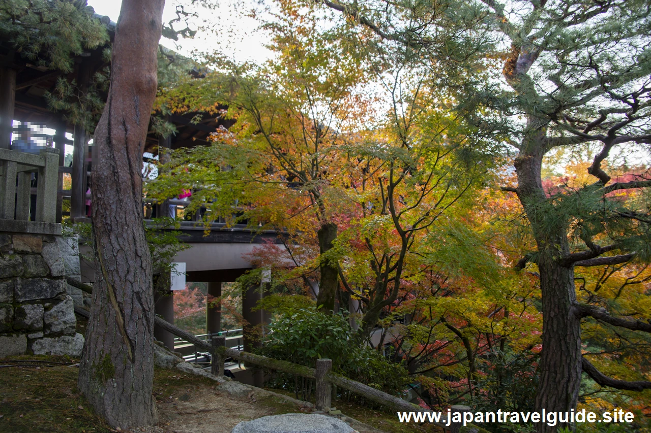 通天橋および洗玉潤の紅葉：東福寺の紅葉の見どころ(30)