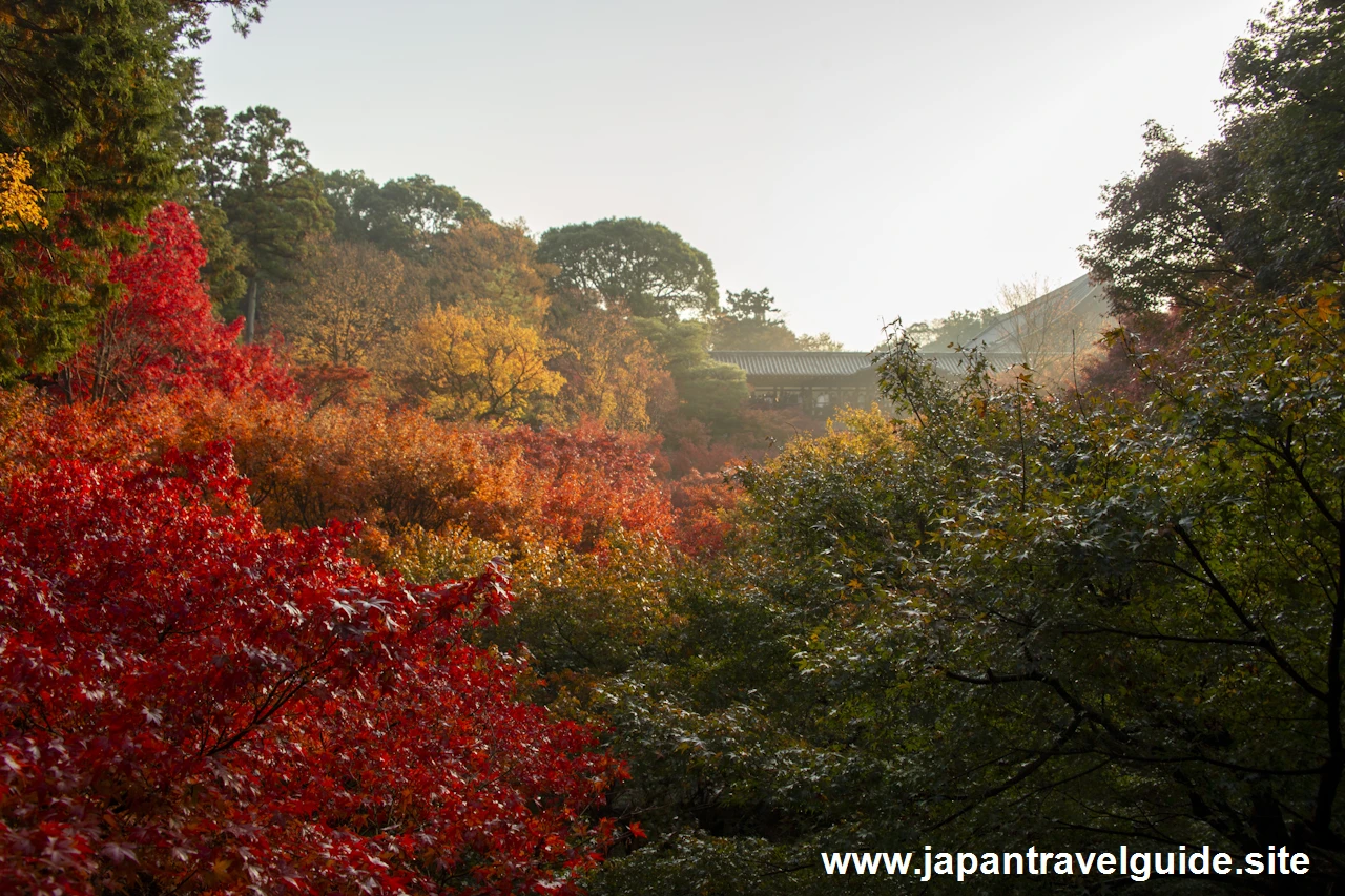 臥雲橋から日下門までの紅葉：東福寺の紅葉の見どころ(4)