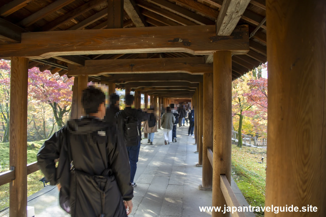 通天橋および洗玉潤の紅葉：東福寺の紅葉の見どころ(33)