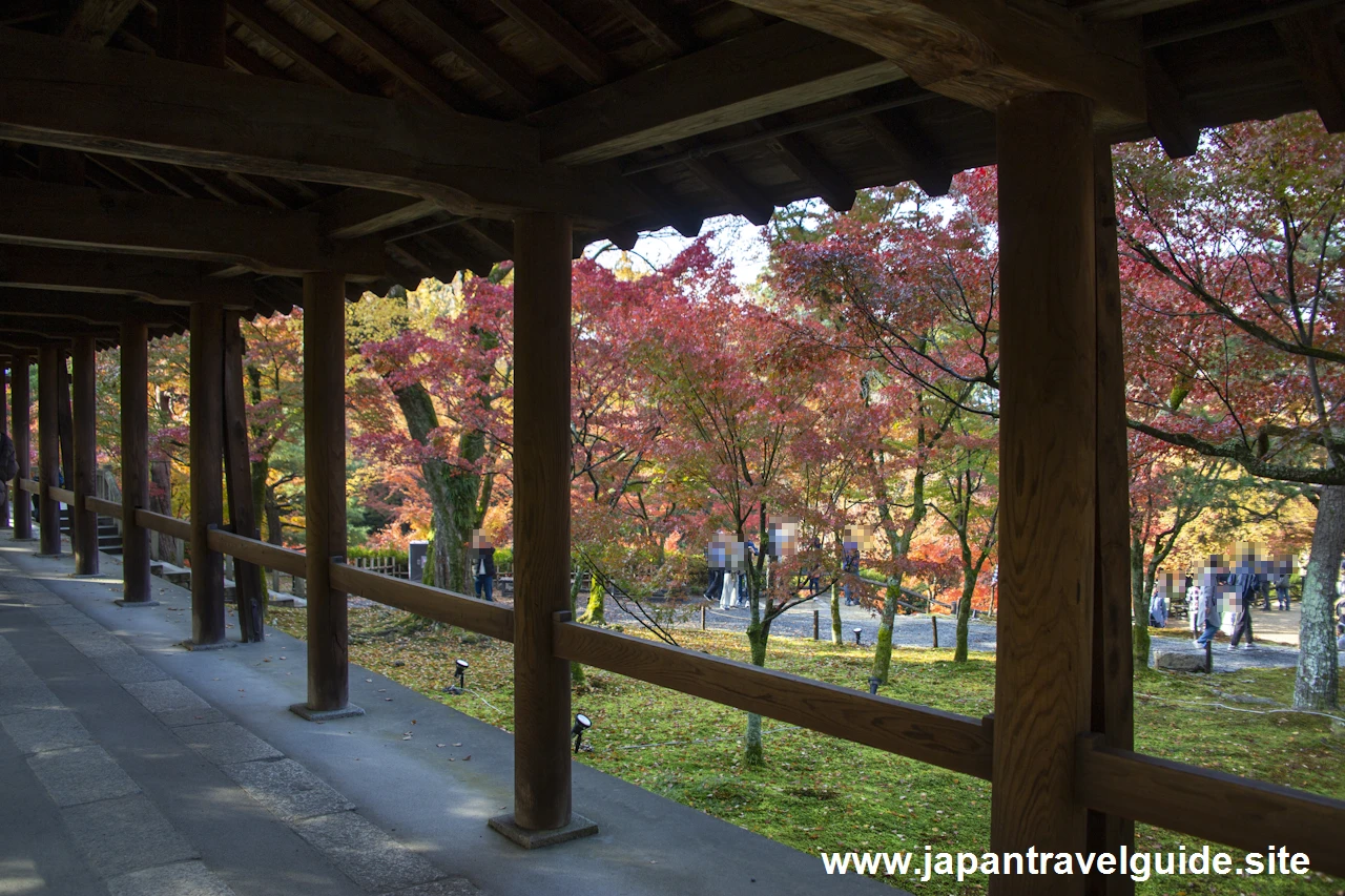 通天橋および洗玉潤の紅葉：東福寺の紅葉の見どころ(34)