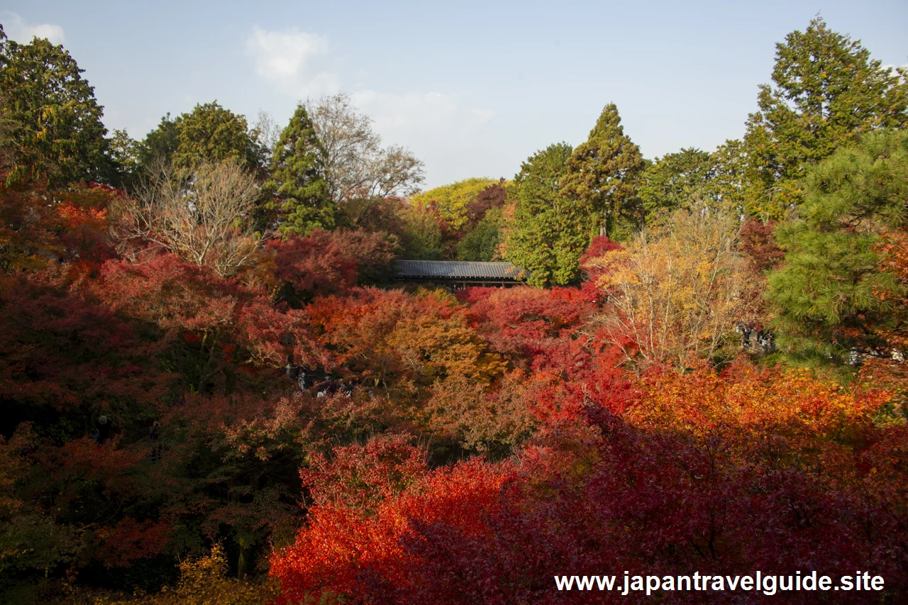 通天橋および洗玉潤の紅葉：東福寺の紅葉の見どころ(36)