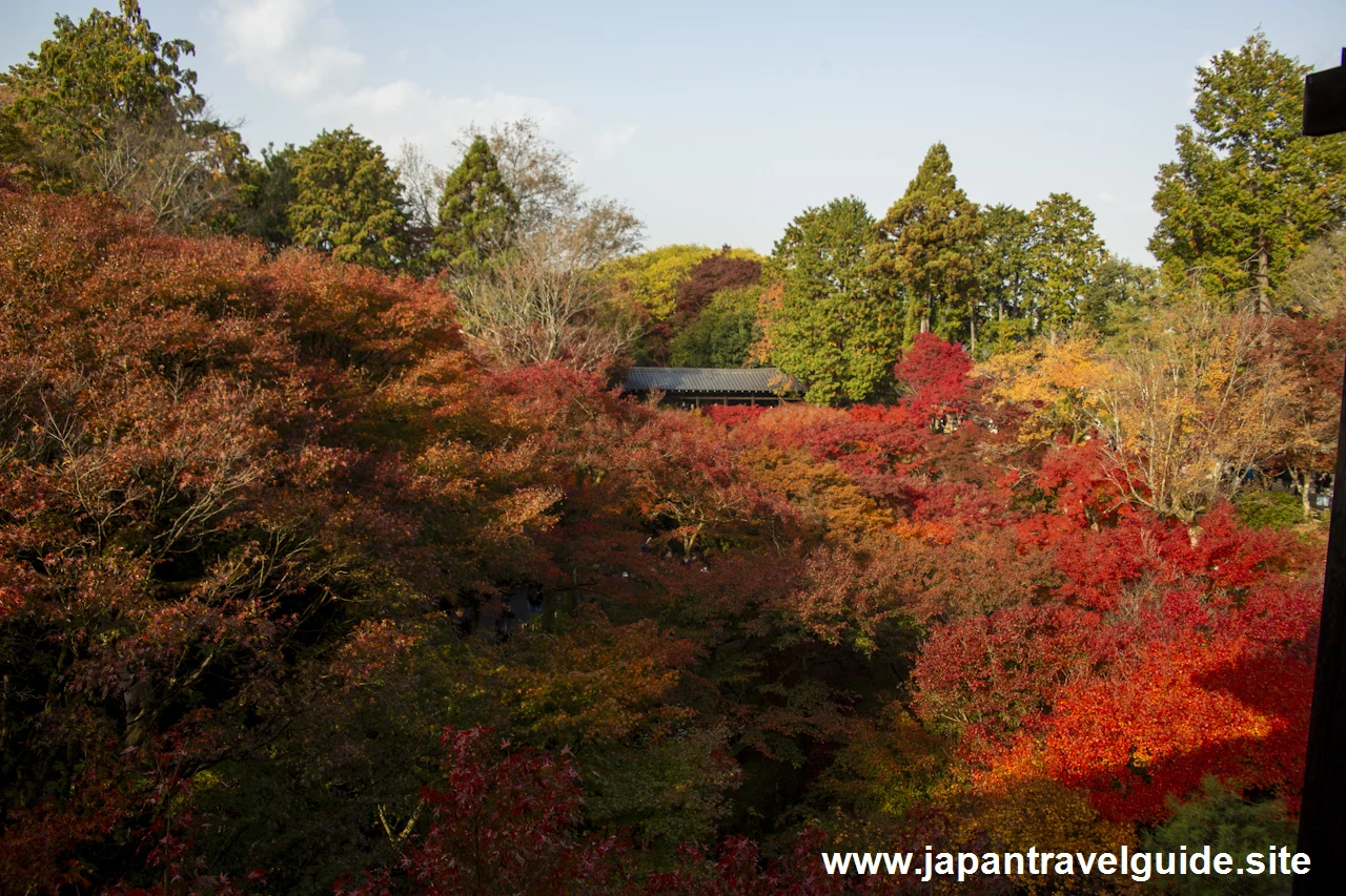 通天橋および洗玉潤の紅葉：東福寺の紅葉の見どころ(38)