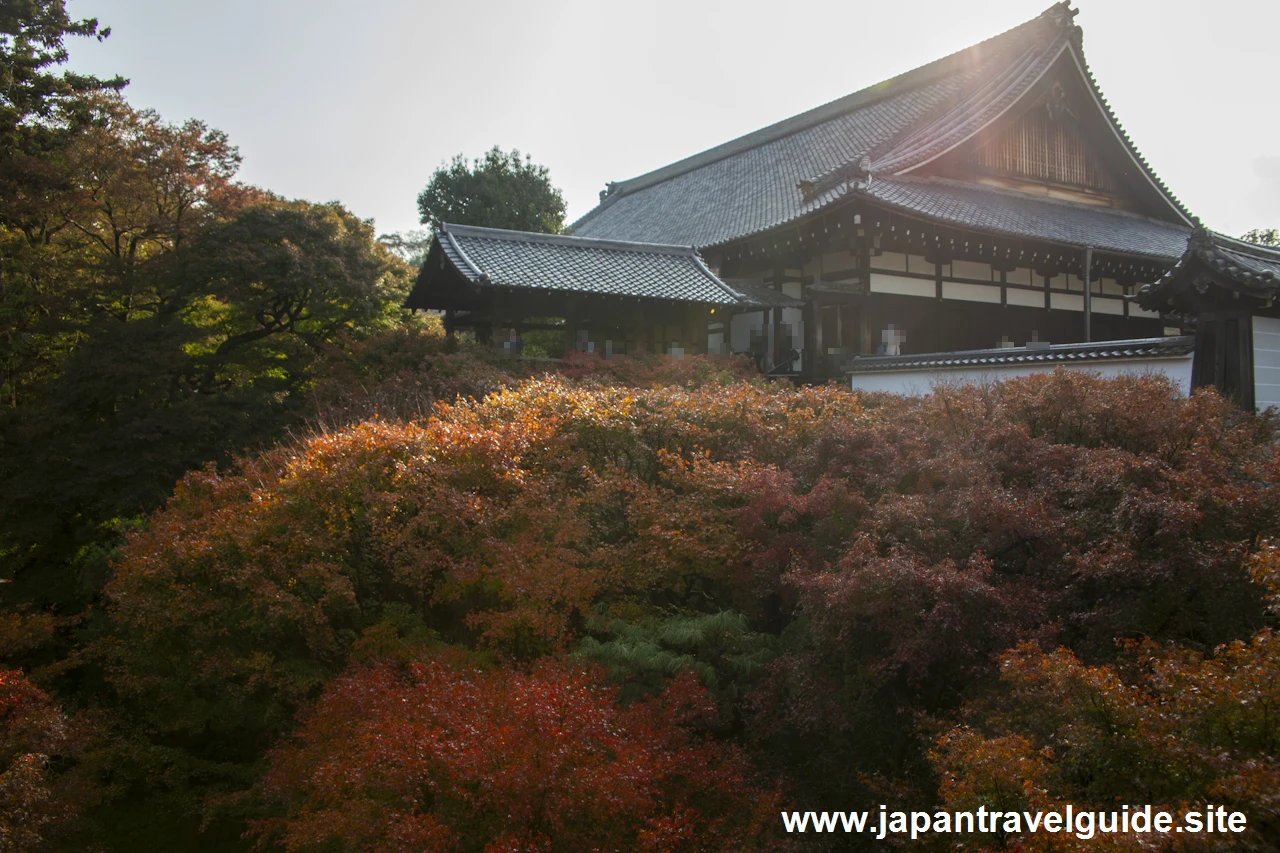 通天橋および洗玉潤の紅葉：東福寺の紅葉の見どころ(40)