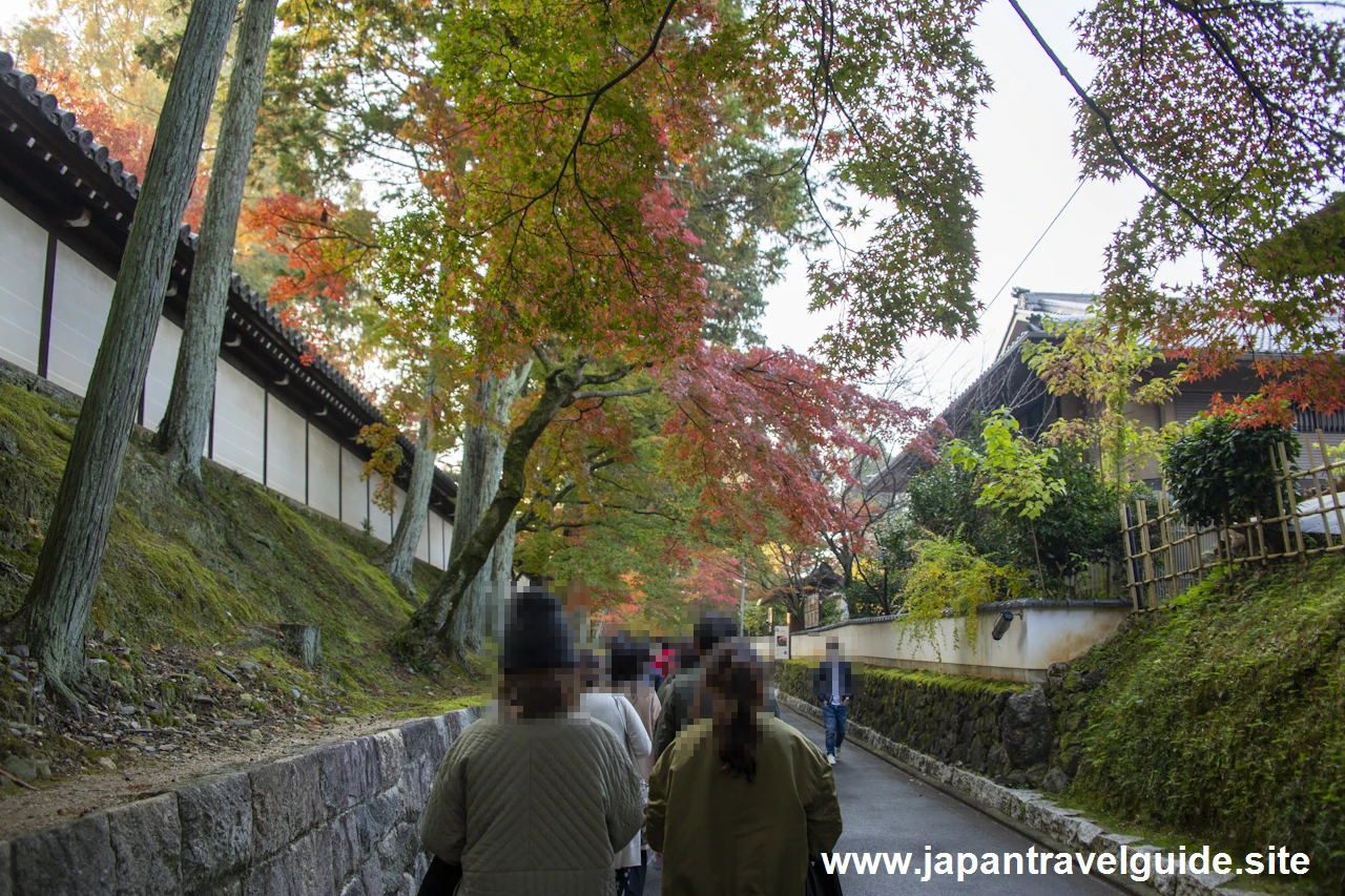 臥雲橋から日下門までの紅葉：東福寺の紅葉の見どころ(4)