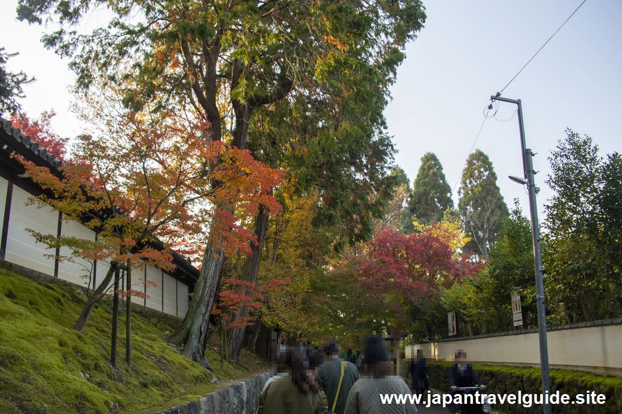 臥雲橋から日下門までの紅葉：東福寺の紅葉の見どころ(4)