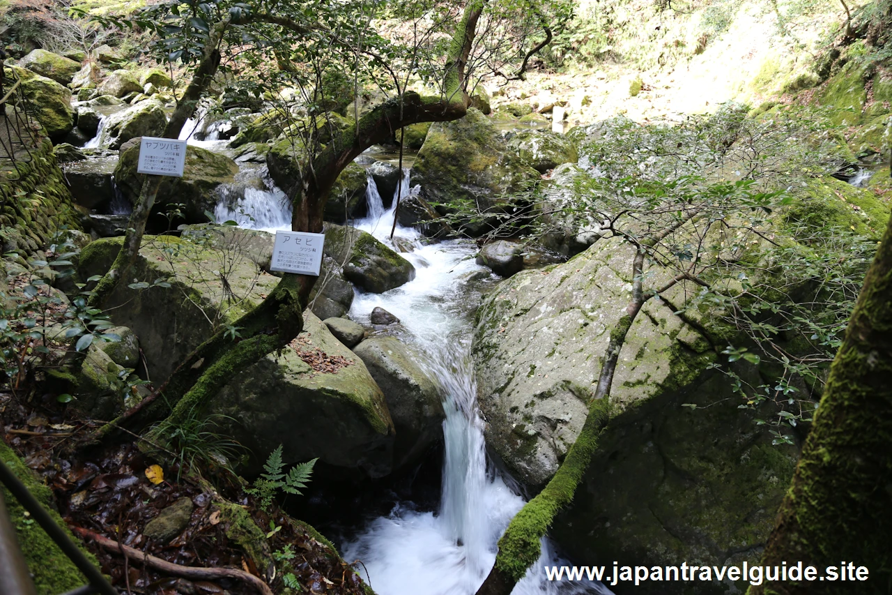 赤目四十八滝の見どころ(4)