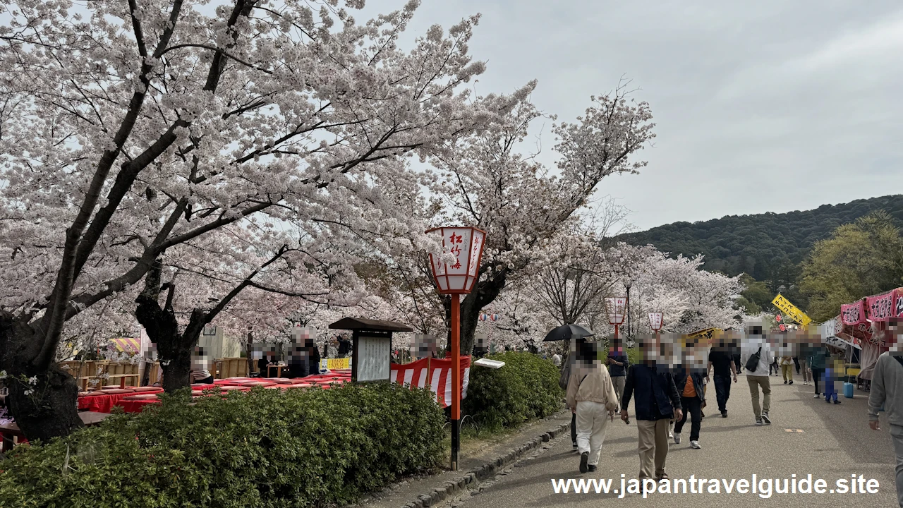 円山公園の桜：八坂神社の見どころ(2)