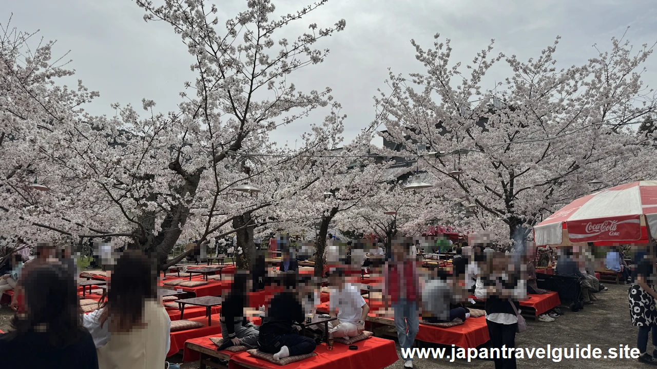 円山公園の桜：八坂神社の見どころ(9)