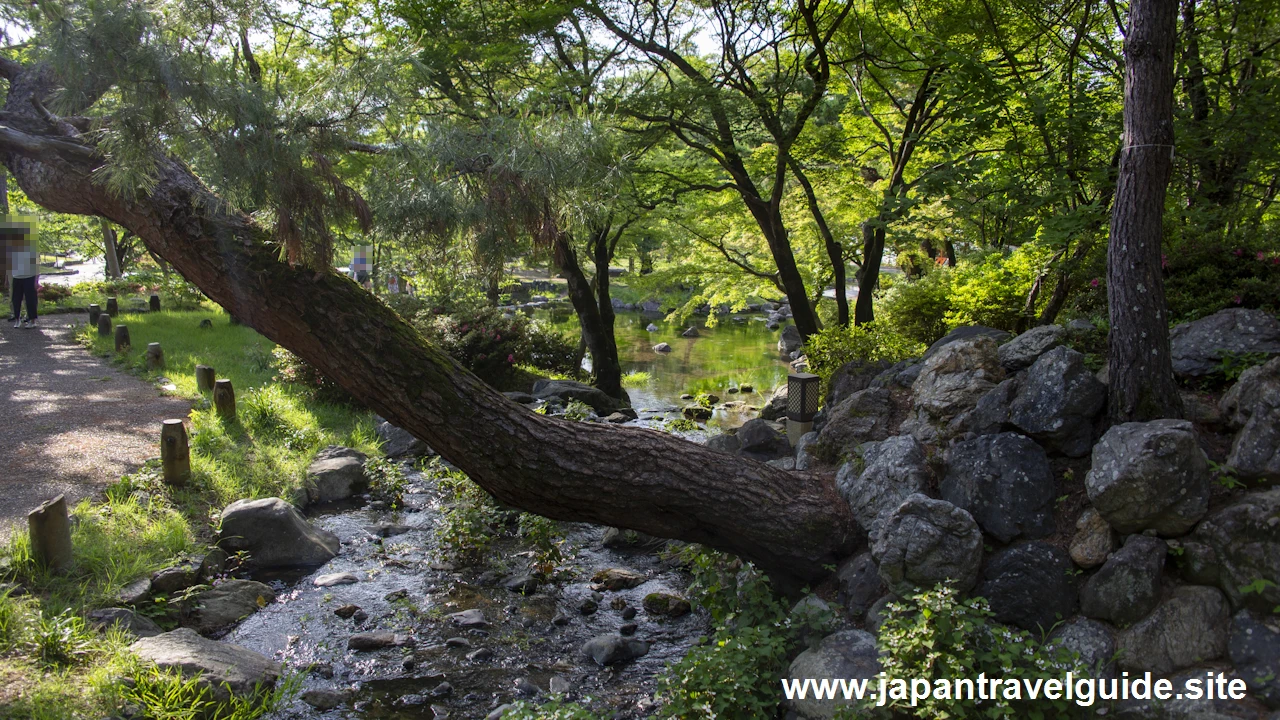 円山公園：八坂神社の見どころ(7)