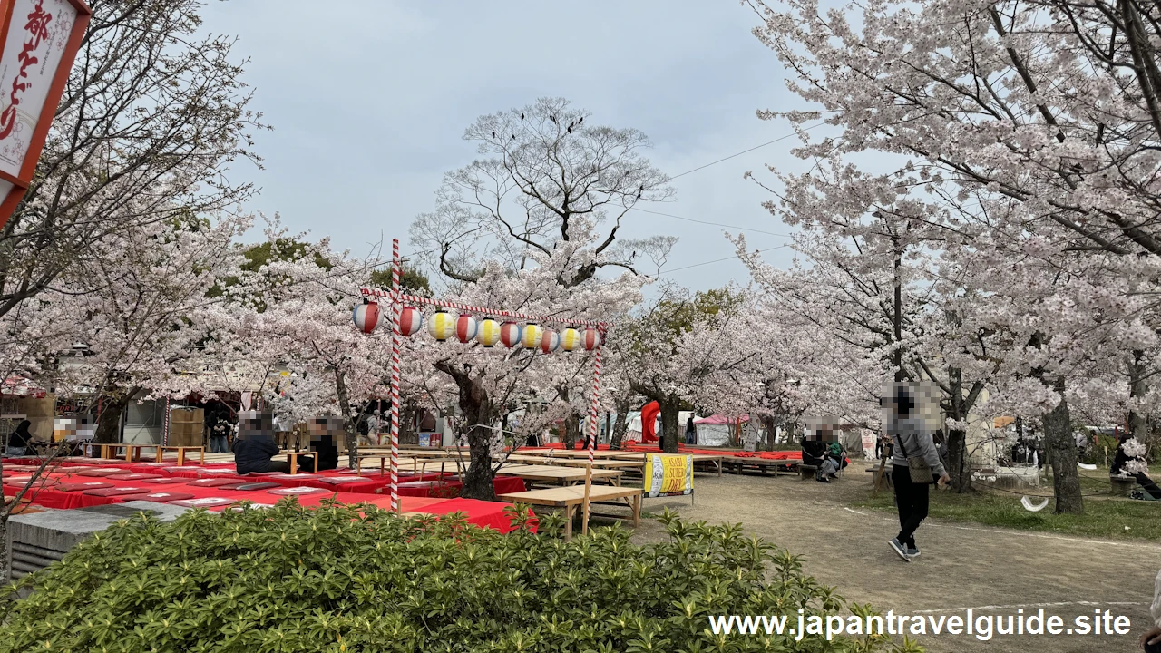 円山公園の桜(9)