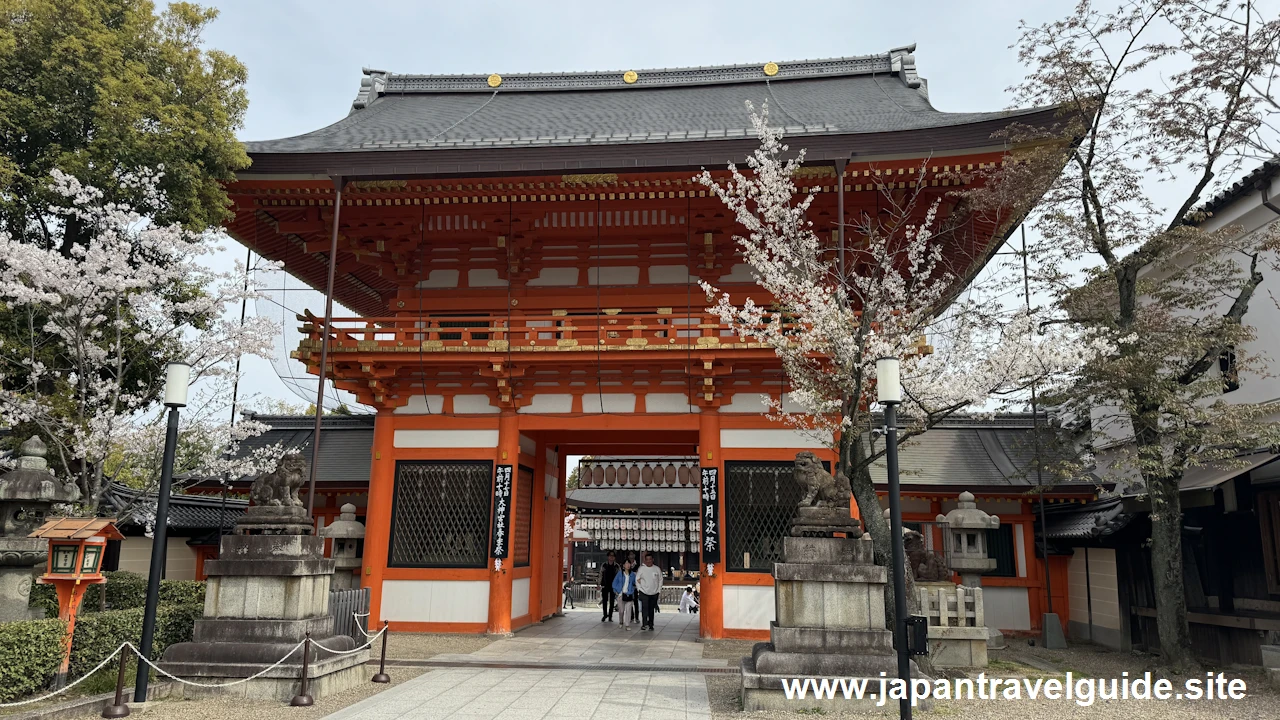 八坂神社の桜(2)