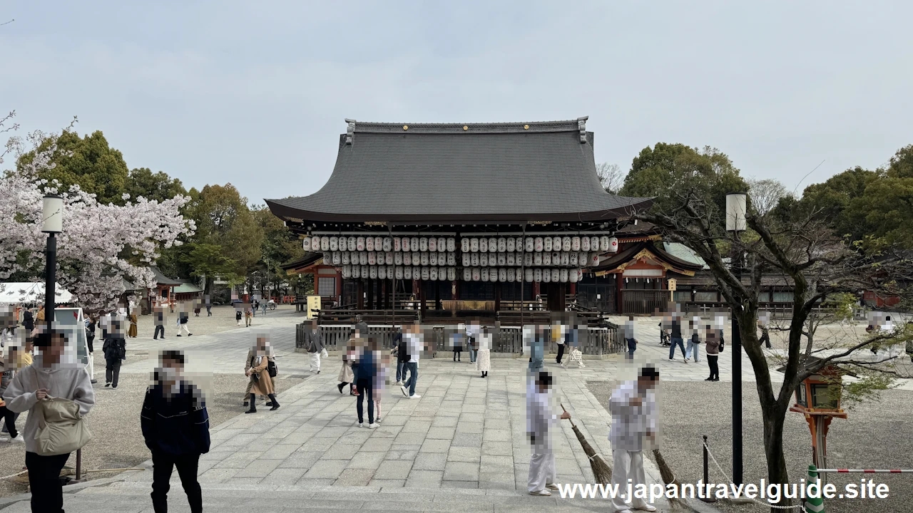 八坂神社の桜(4)