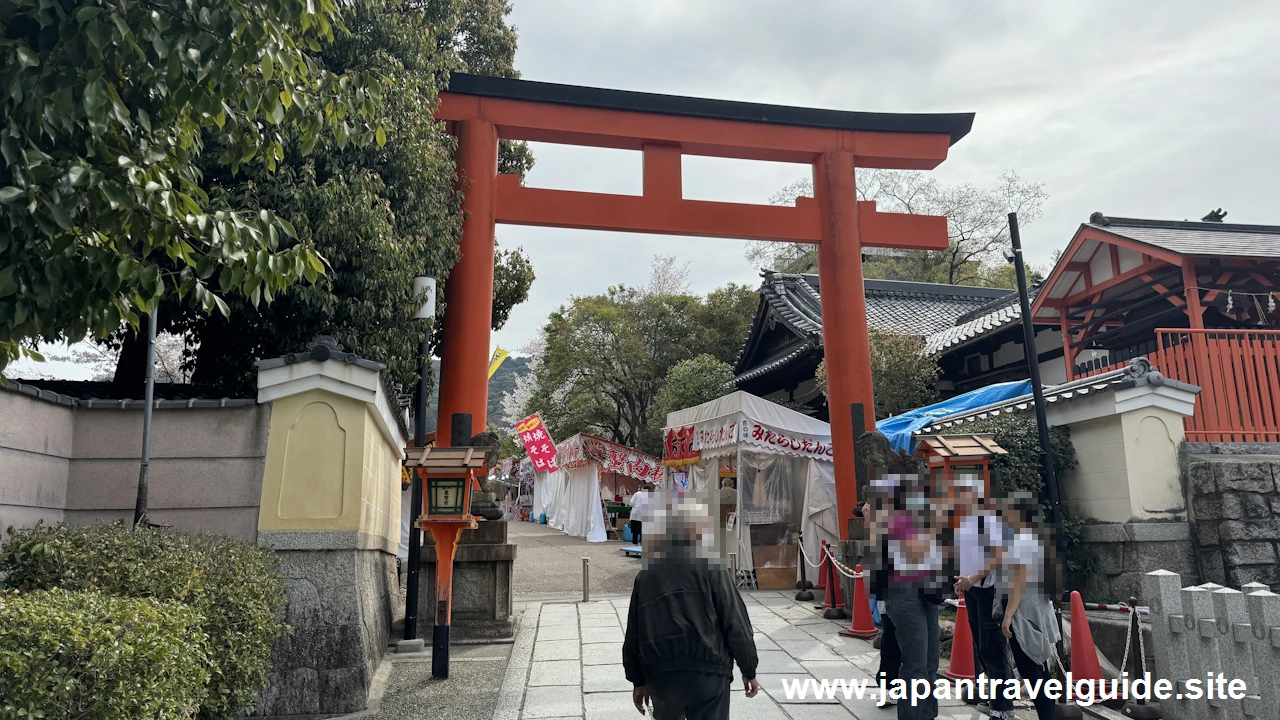 円山公園の桜(1)