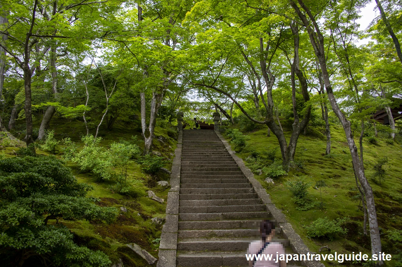 本堂：常寂光寺の見どころ(2)