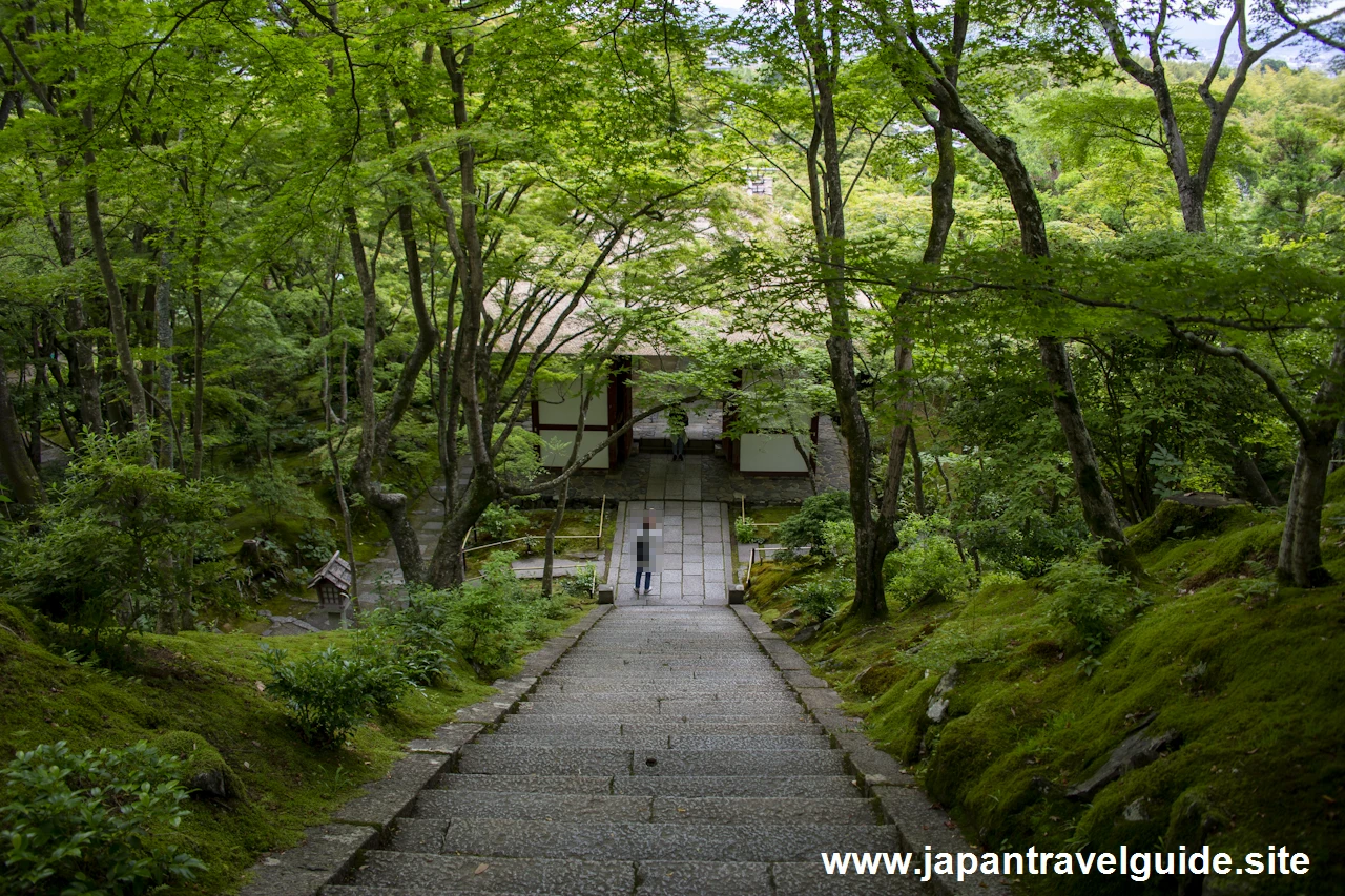 本堂：常寂光寺の見どころ(3)