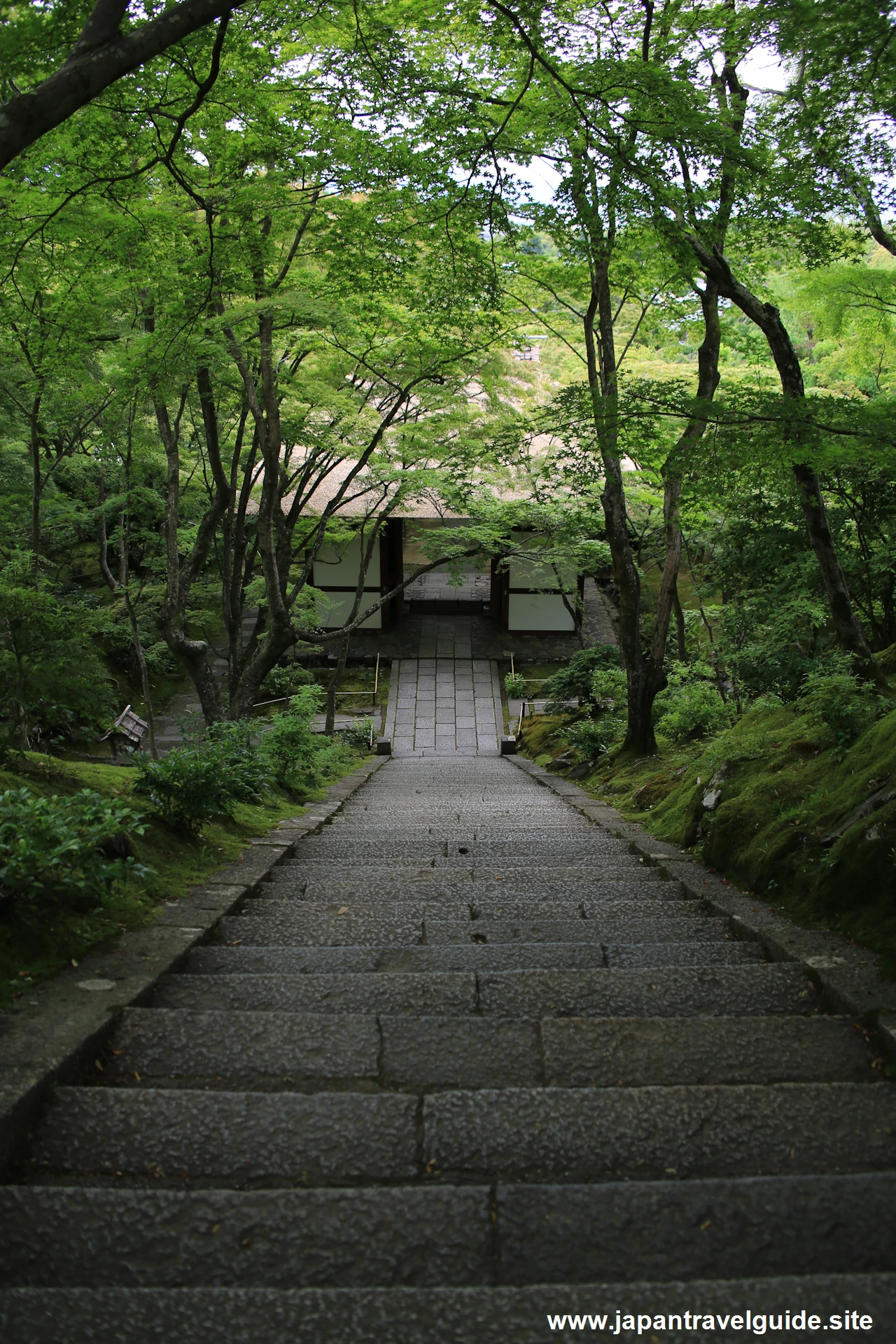 本堂：常寂光寺の見どころ(4)