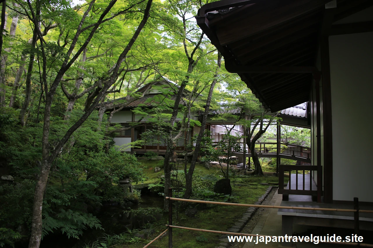 本堂：常寂光寺の見どころ(6)