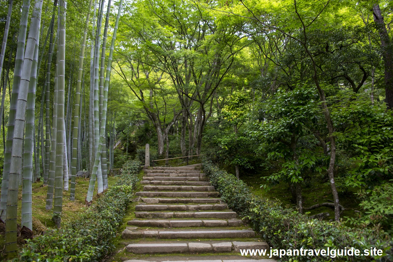 展望台：常寂光寺の見どころ(1)