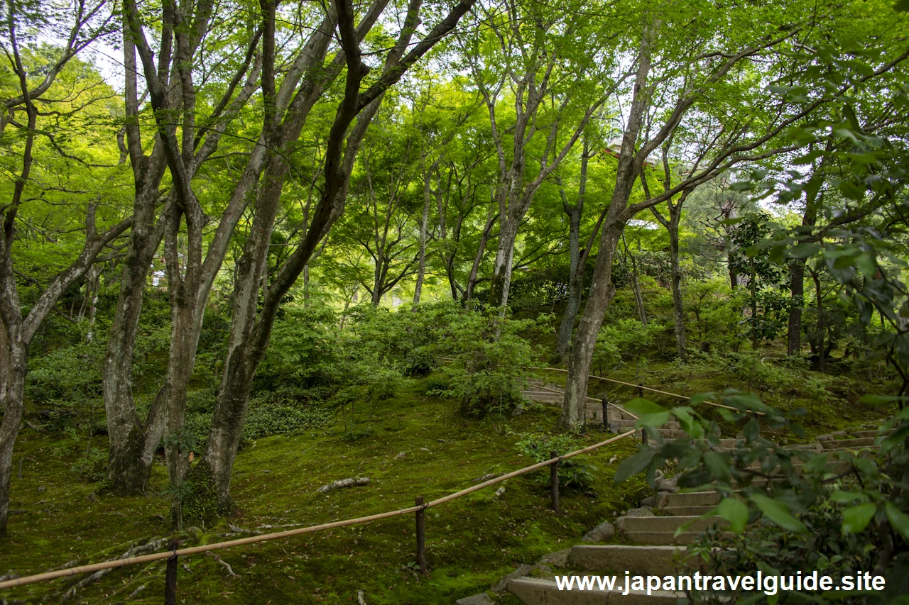 展望台：常寂光寺の見どころ(2)