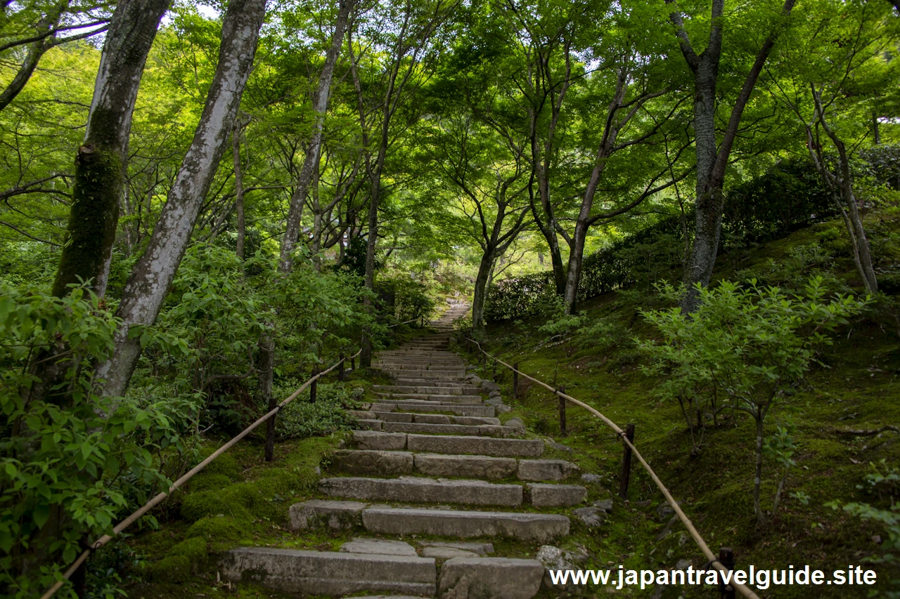 展望台：常寂光寺の見どころ(3)