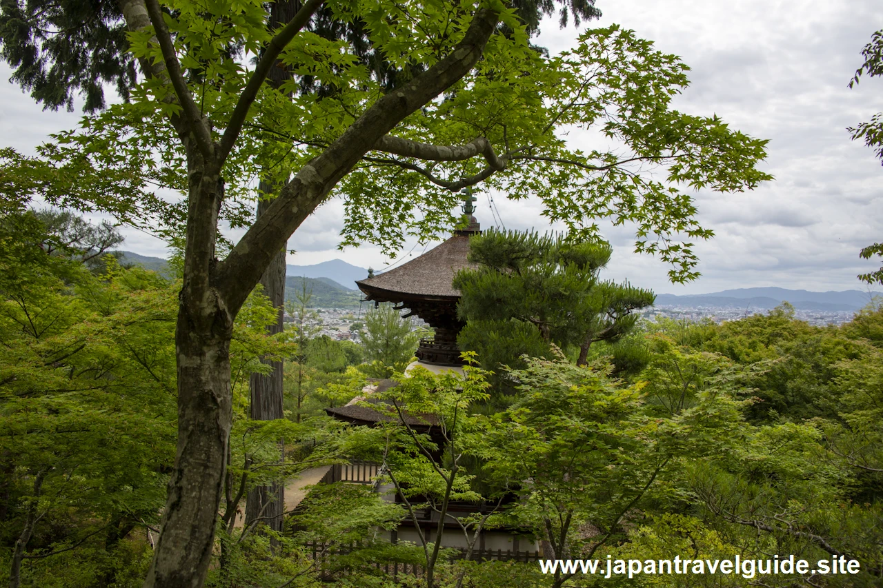 多宝塔：常寂光寺の見どころ(1)