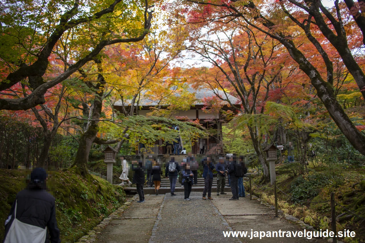 常寂光寺の紅葉：常寂光寺の見どころ(2)