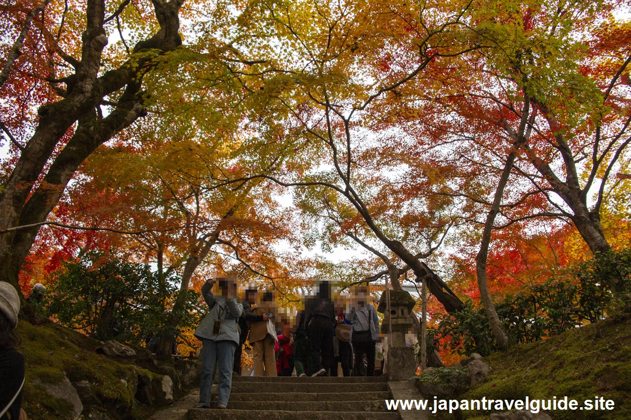 常寂光寺の紅葉：常寂光寺の見どころ(4)