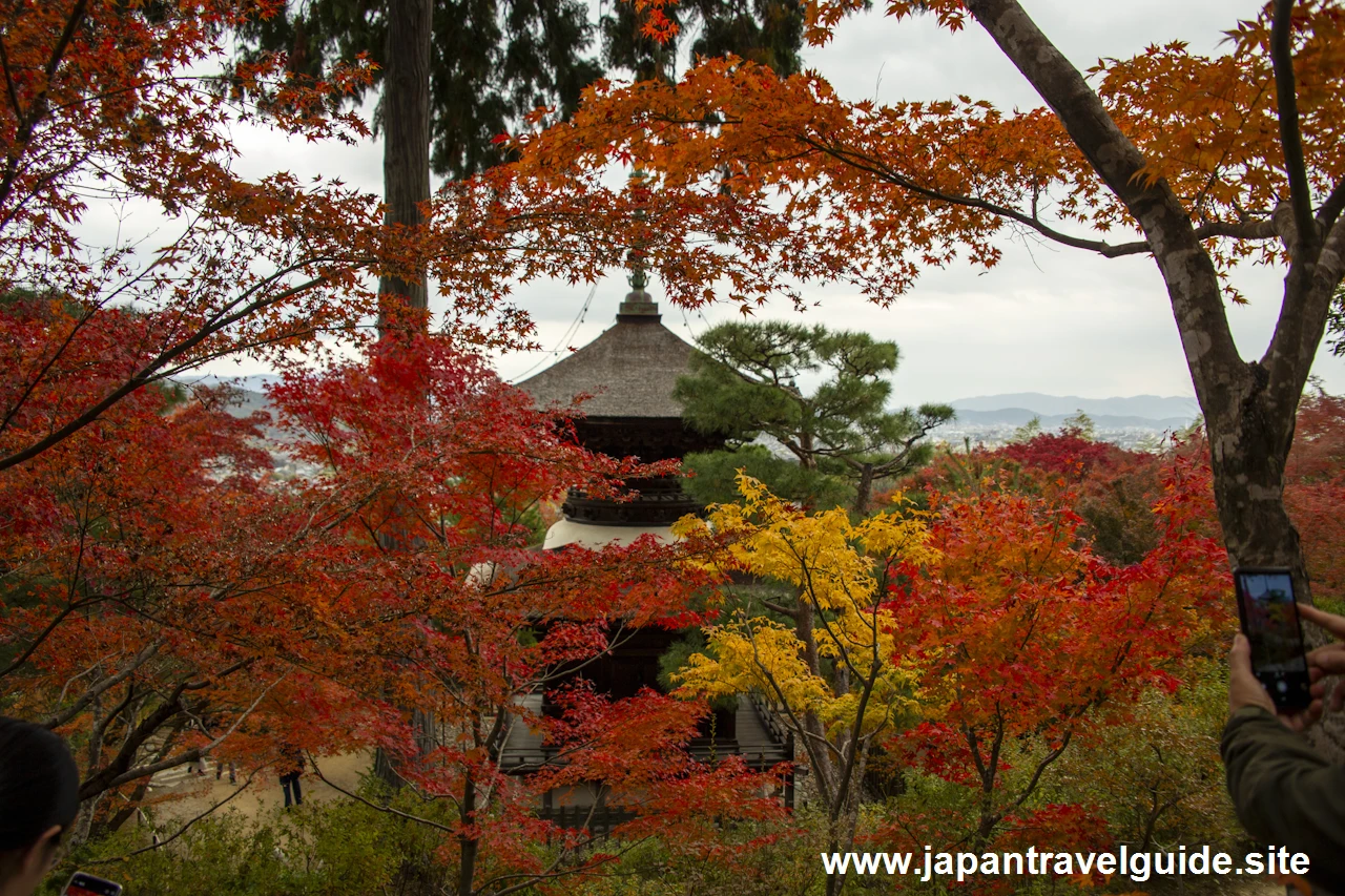 常寂光寺の紅葉：常寂光寺の見どころ(8)