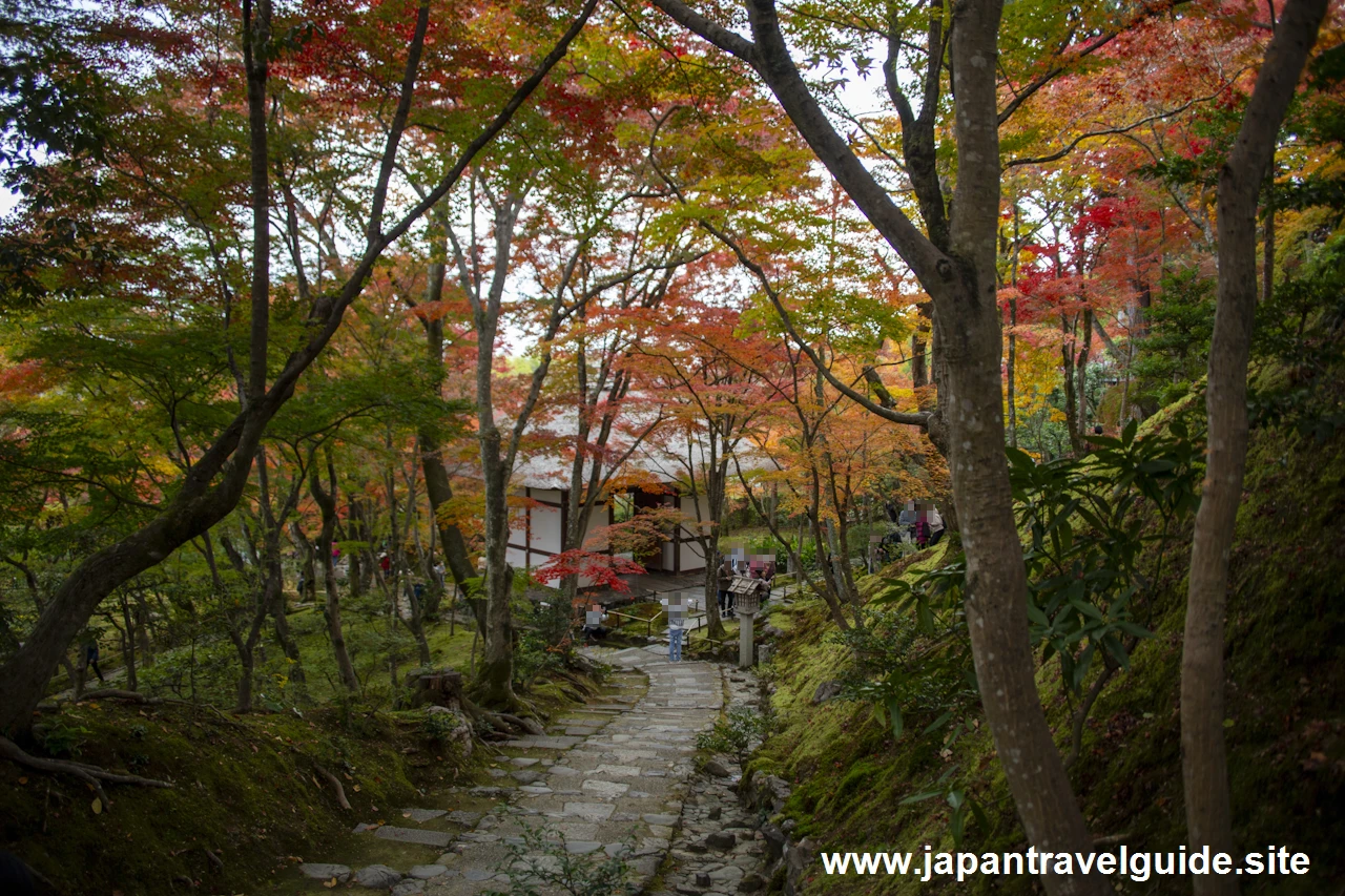 常寂光寺の紅葉：常寂光寺の見どころ(9)