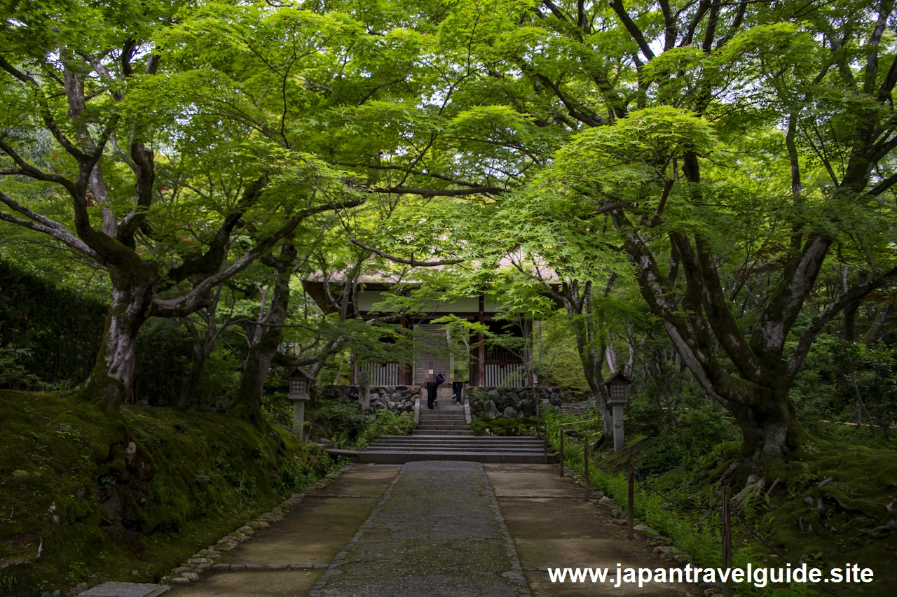 仁王門：常寂光寺の見どころ(1)